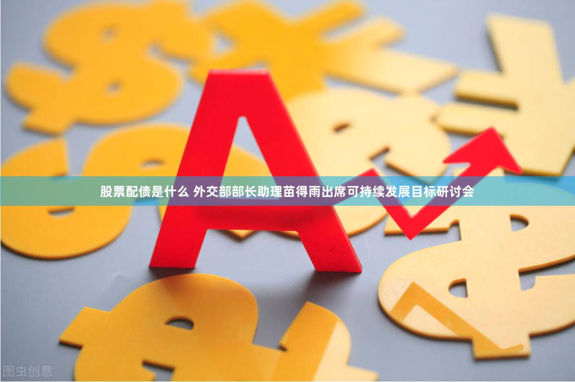 股票配债是什么 外交部部长助理苗得雨出席可持续发展目标研讨会