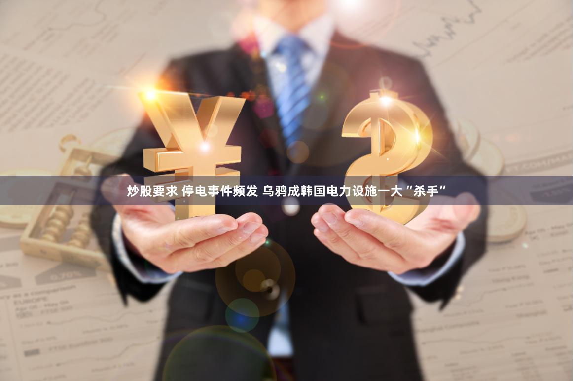 炒股要求 停电事件频发 乌鸦成韩国电力设施一大“杀手”
