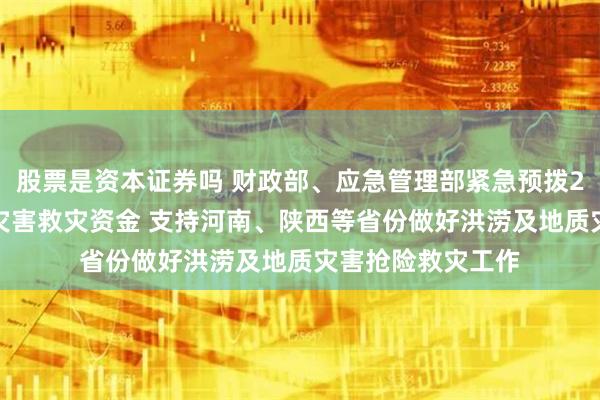 股票是资本证券吗 财政部、应急管理部紧急预拨2.6亿元中央自然灾害救灾资金 支持河南、陕西等省份做好洪涝及地质灾害抢险救灾工作