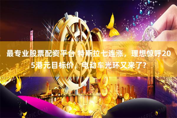 最专业股票配资平台 特斯拉七连涨，理想惊呼205港元目标价，电动车光环又来了?