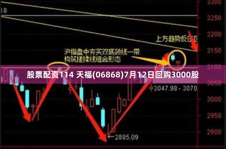 股票配资114 天福(06868)7月12日回购3000股