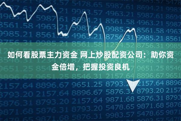 如何看股票主力资金 网上炒股配资公司：助你资金倍增，把握投资良机