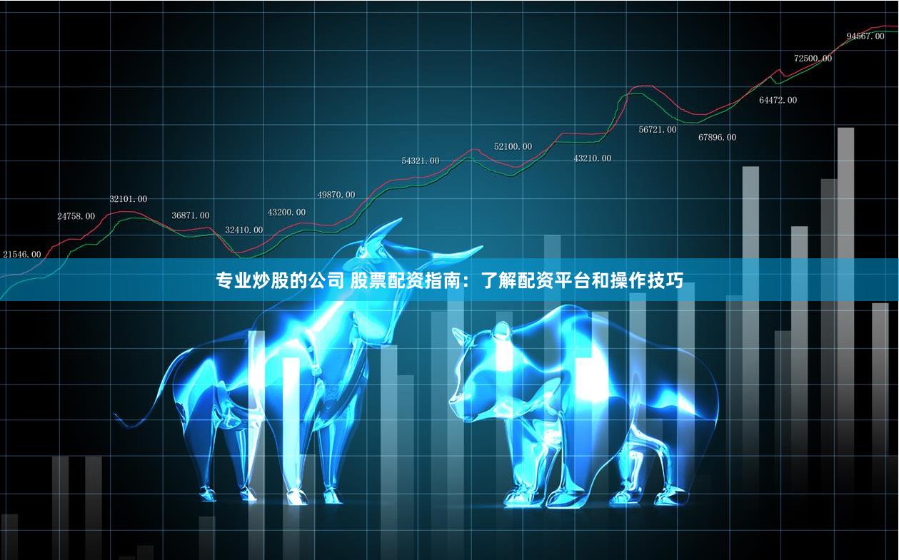 专业炒股的公司 股票配资指南：了解配资平台和操作技巧